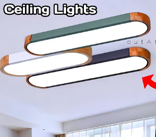 Celling light long curved light